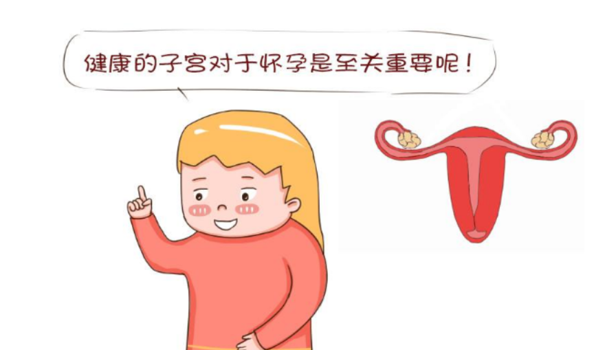 良好的子宫.png