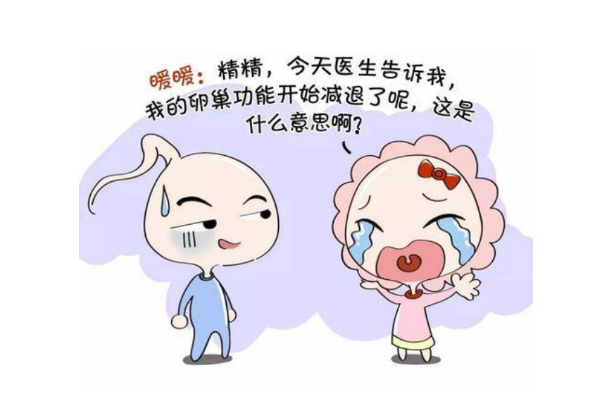 如何改善正在下降的卵巢储备功能状态？