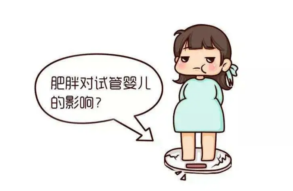 肥胖会不会影响做试管婴儿？一起来看看吧