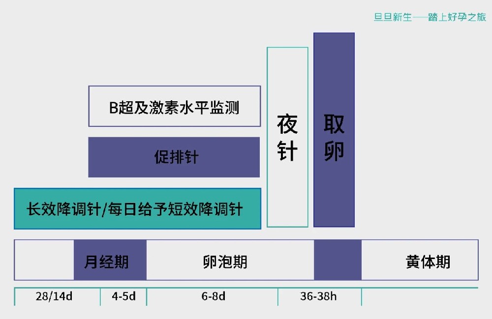 试管婴儿长方案、短方案、自然周期，哪种更适合我？