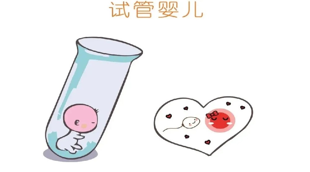 试管婴儿.png