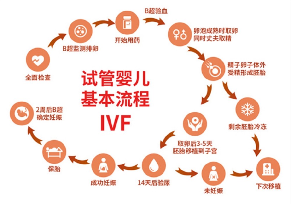 美国加州生殖医院CCRH试管婴儿流程具体有哪些步骤？