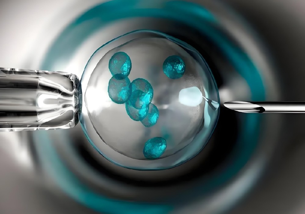 冻卵、冻精、冻胚胎：哪个更佳？专家解读与建议