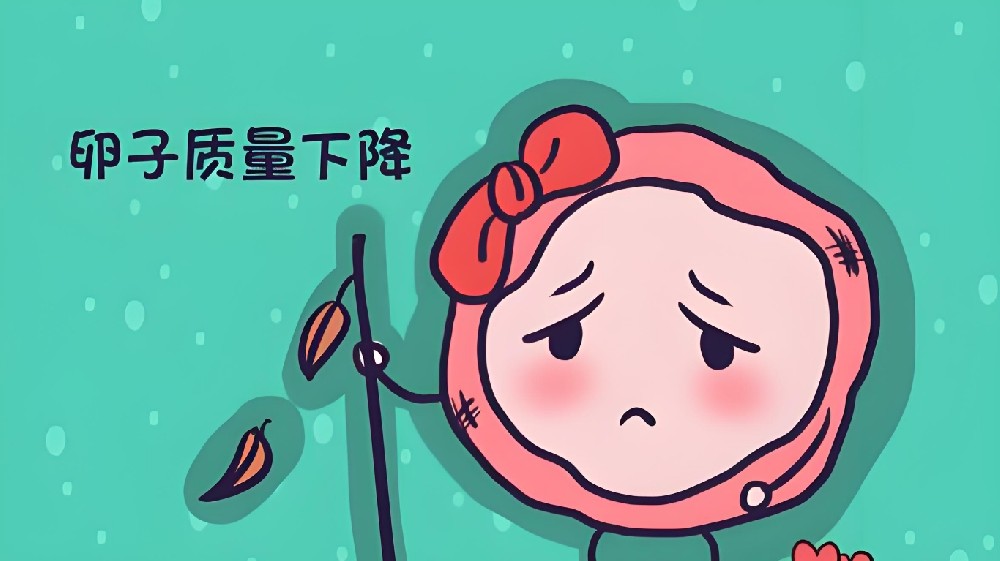 卵子质量.png