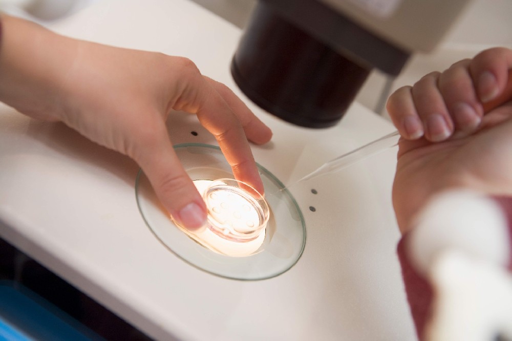 试管移植鲜胚和囊胚可以同时进行吗？